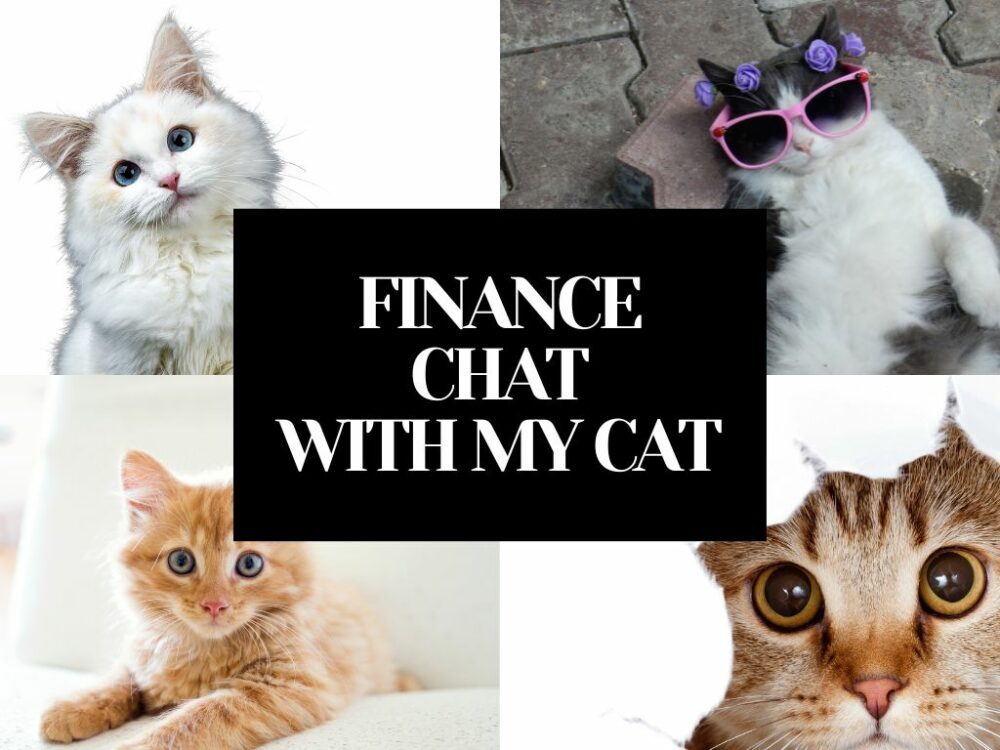 FINANCE CHAT WITH MY CAT