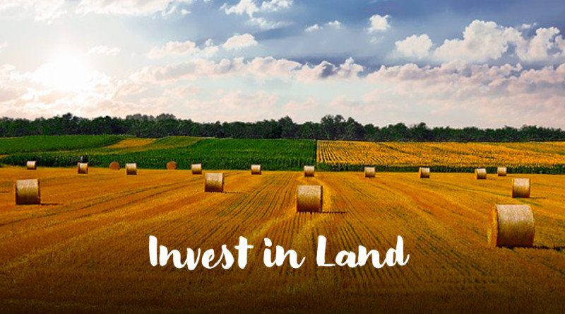 diversify portfolio: invest in land and farmland