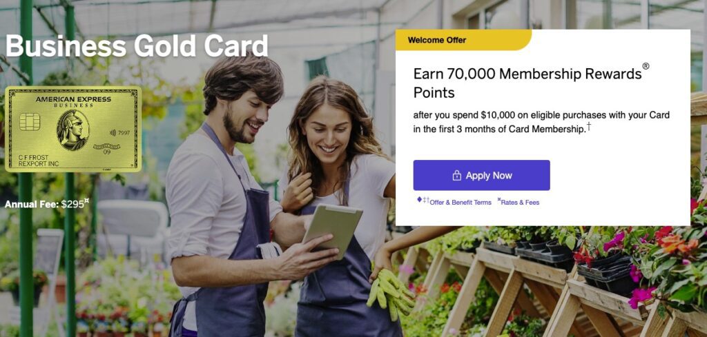 Best Credit Cards For Ad Spend, American Express Business Gold Card
