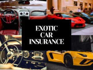 10 Best Exotic Car Rental Insurance Companies