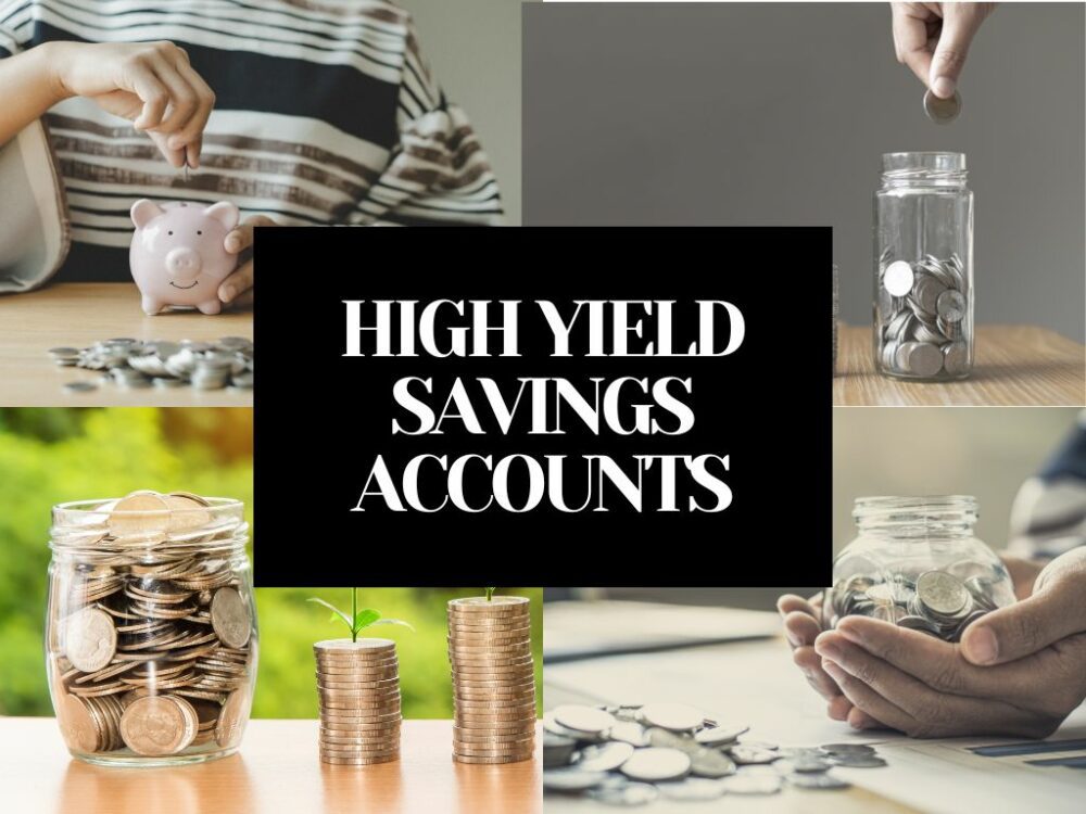 13 Best HYSA in the US: High Yield Savings Accounts